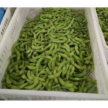 Iqf Frozen Edamame Beans Bulk Frozen Green Beans